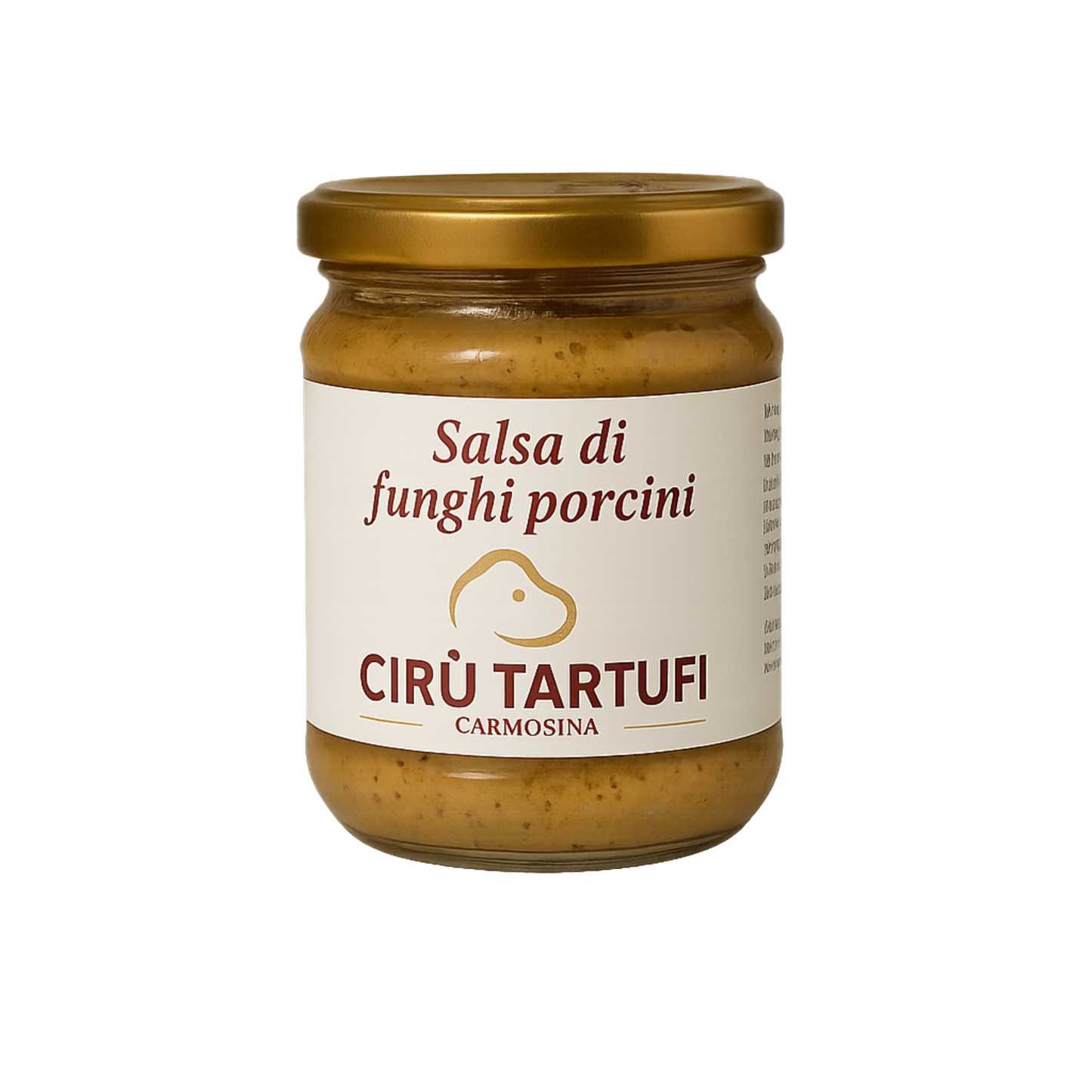 Salsa di funghi porcini