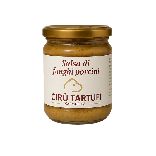 Salsa di funghi porcini