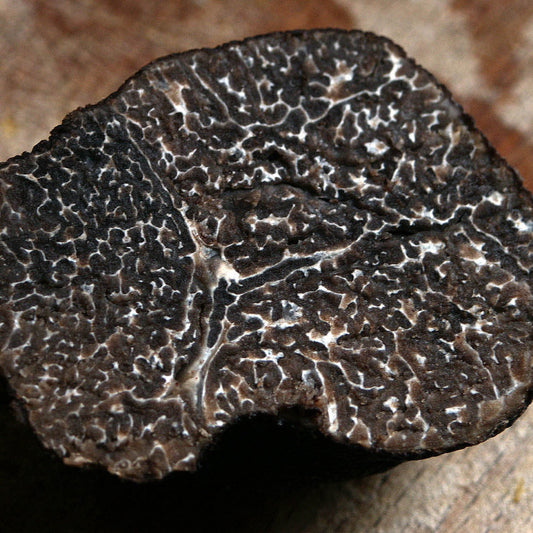 Tartufo nero di Bagnoli Irpino